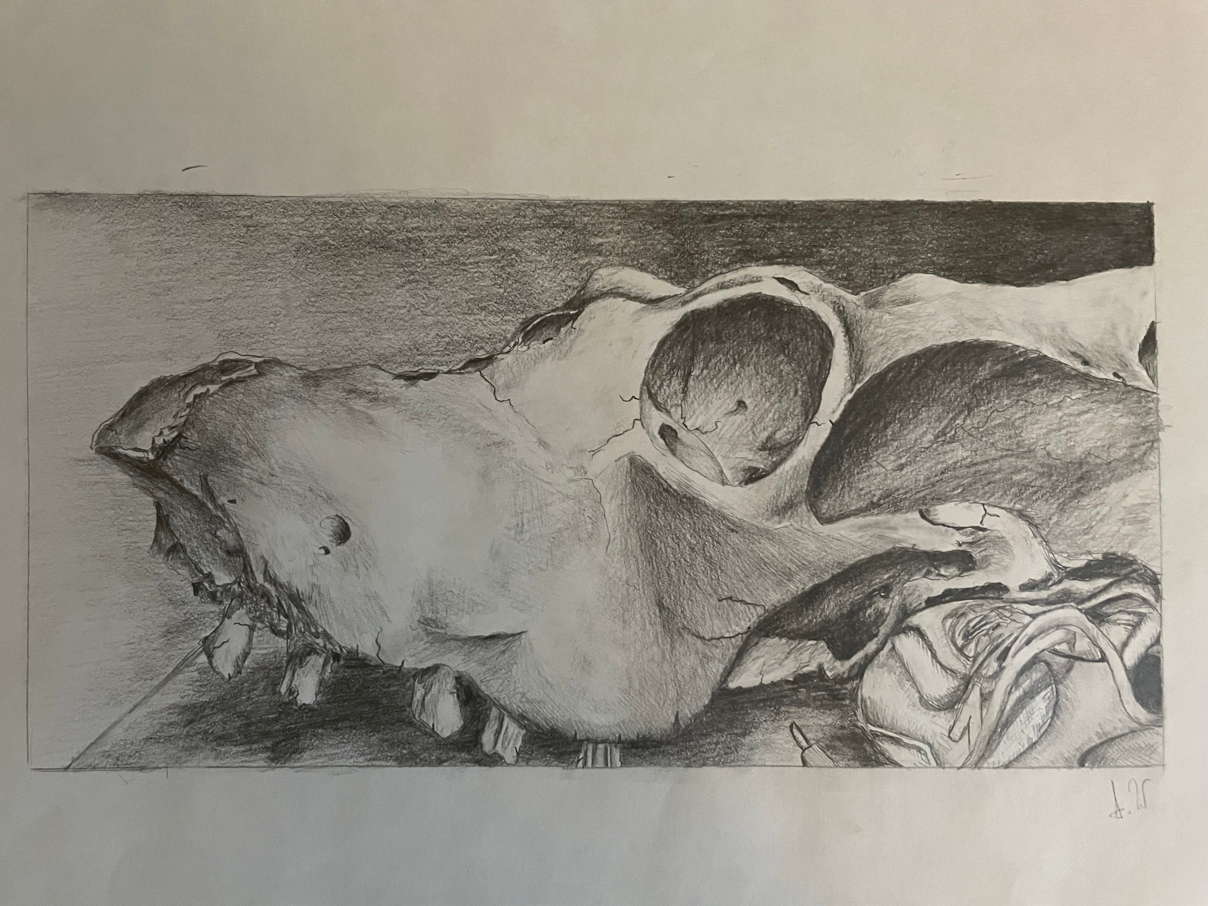 Pencil drawing of a deer skull and a shoe